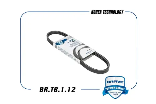 BRAVE BR.TB.1.12