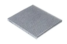 Салонный фильтр RAF FILTER RSTC001HYXI