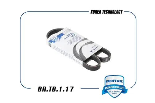 BRAVE BR.TB.1.17