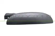 Ручка двери PRASCO FT1138204