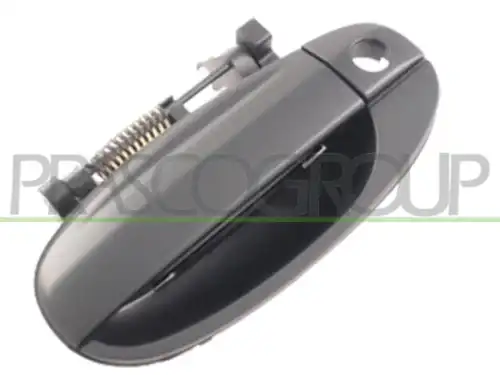 Ручка двери PRASCO DW3268002