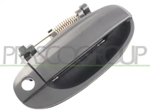 Ручка двери PRASCO DW3268001