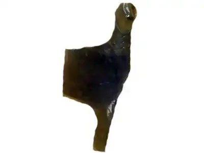 ВТУЛКА ПОДВЕСКИ 55290G2100 MOBIS