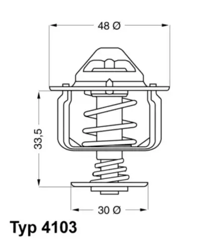 Термостат системы охлаждения WAHLER 4103.82