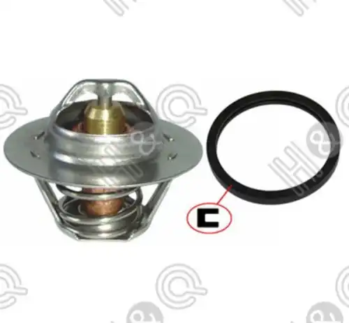 Термостат системы охлаждения H&Q 5010-C101