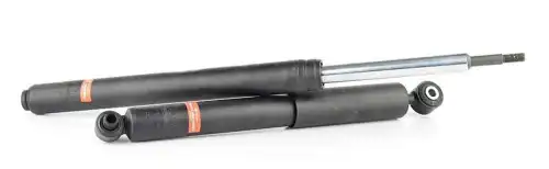 Амортизаторы BSG BSG70300022