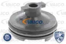 Пробка поддона сливная V251116 VAICO
