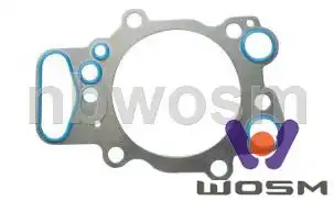Прокладка ГБЦ WOSM C129