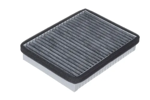 Салонный фильтр RAF FILTER RSTC002VAZ