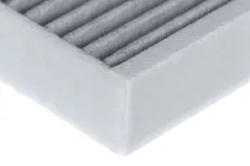 Салонный фильтр RAF FILTER RSTC004TOXY