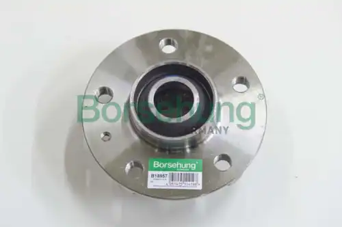 Ступица BORSEHUNG B18957