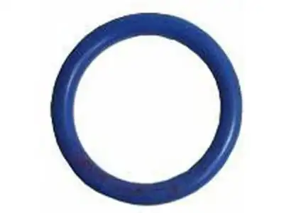 SEAL RING, RUBBER 12557752 GM