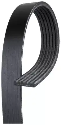 GATES K061247 3169 мм