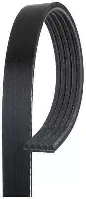 Автодеталь K050486 GATES