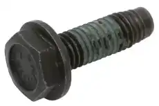 (S)BOLT 11547134 GM
