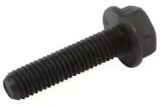 (S)BOLT 11547864 GM
