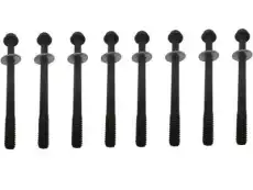 (S)BOLT 10066008 GM