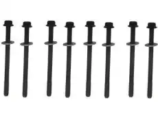 (S)BOLT 10066008 GM