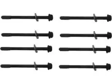 (S)BOLT 10066008 GM