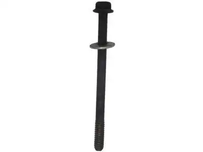 (S)BOLT 10066008 GM