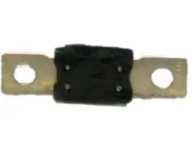 (S)FUSE 15383342 GM