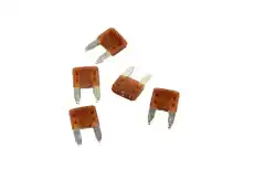 (S)FUSE 88864840 GM
