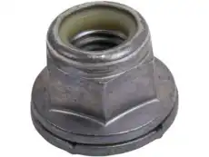 (S)NUT 11548382 GM