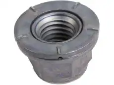 (S)NUT 11548382 GM