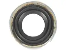 (S)SEAL 24282812 GM