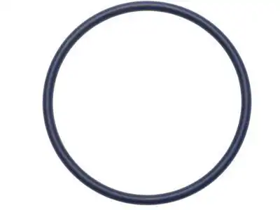 (S)SEAL 15552872 GM