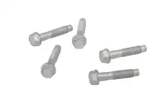 B-(S)BOLT 19316541 GM