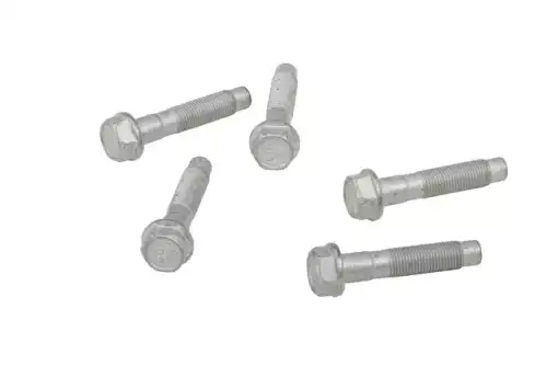 B-(S)BOLT 19316541 GM