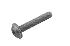 F-(S)BOLT 19169068 GM