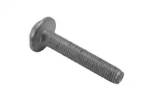 F-(S)BOLT 19169068 GM