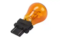 F-(S)BULB 19120659 GM