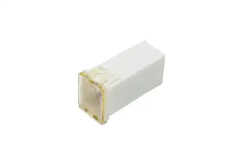 F-(S)FUSE 19329044 GM