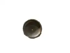 F-(S)PLUG 14066310 GM