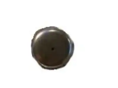 F-(S)PLUG 14066310 GM