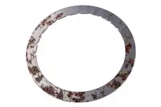 F-(S)SHIM 19178679 GM