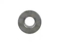 W-(S)NUT 11547419 GM