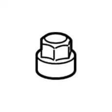 W-(S)NUT 11547419 GM