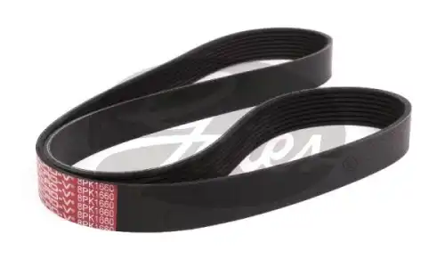GATES 8PK1660