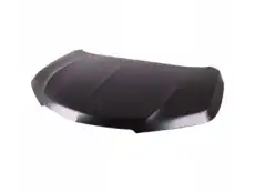 HOOD, ENGINE (DOT) 60100-TZ5-A92ZZ HONDA