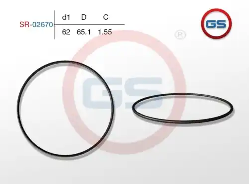 Резиновое кольцо SR-02670 GS