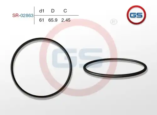 Резиновое кольцо 61 2.45 SR-02863 GS