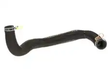 HOSE-RADIATOR OUTLET 4598096AG CHRYSLER