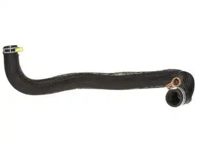 HOSE-RADIATOR OUTLET 4598096AG CHRYSLER