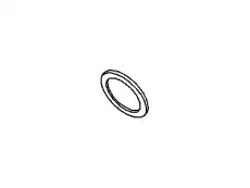 RING-PLANET PINION 3681949 CHRYSLER