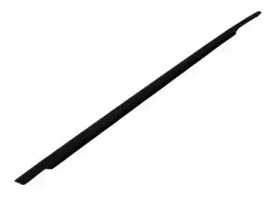 W/STRIP-FRONT DOOR BELT 4805996AE CHRYSLER