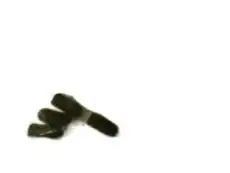 CAP-VACUUM 3580172 CHRYSLER